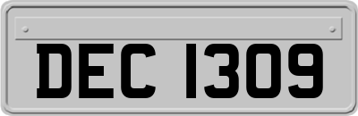 DEC1309