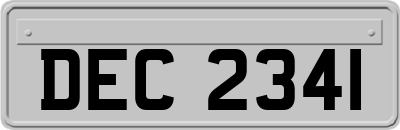 DEC2341