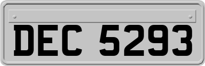 DEC5293