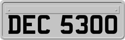DEC5300