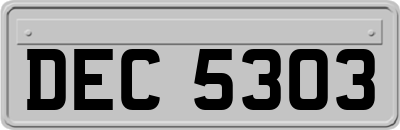 DEC5303