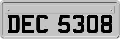DEC5308