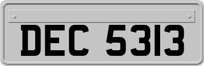 DEC5313