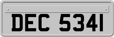 DEC5341