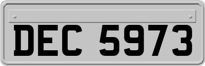 DEC5973