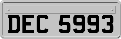 DEC5993