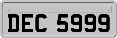 DEC5999