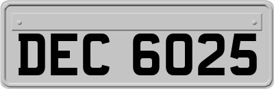 DEC6025