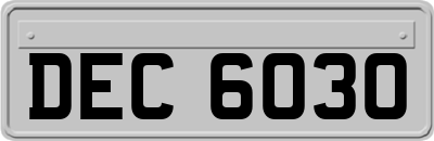 DEC6030