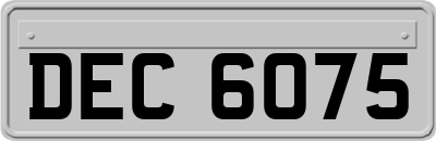 DEC6075
