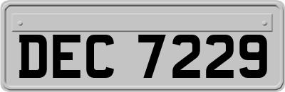 DEC7229