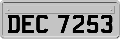 DEC7253