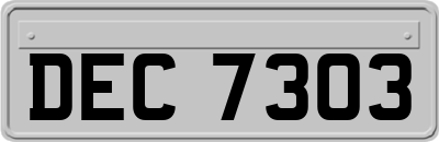 DEC7303