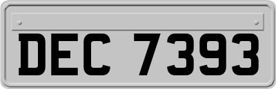 DEC7393