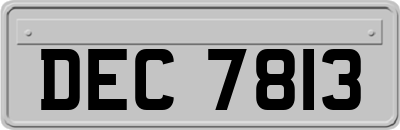 DEC7813
