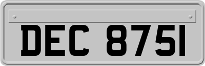 DEC8751