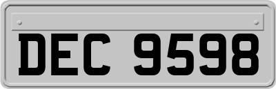 DEC9598