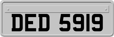 DED5919