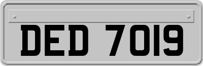 DED7019