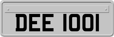 DEE1001