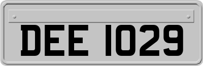 DEE1029