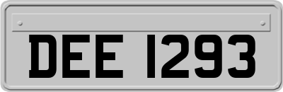 DEE1293