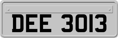 DEE3013