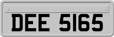 DEE5165