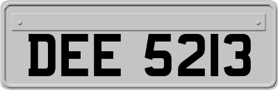 DEE5213