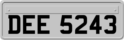 DEE5243