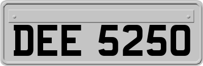DEE5250