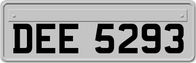 DEE5293
