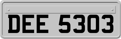 DEE5303