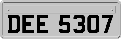 DEE5307