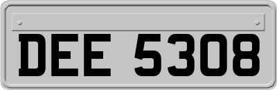 DEE5308