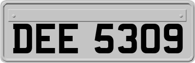 DEE5309