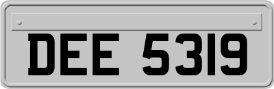 DEE5319