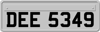 DEE5349