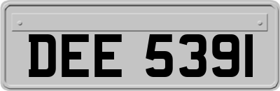 DEE5391