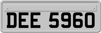 DEE5960