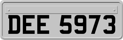 DEE5973