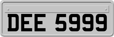 DEE5999