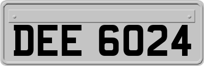 DEE6024