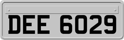 DEE6029