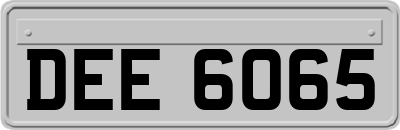 DEE6065
