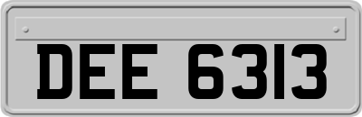 DEE6313