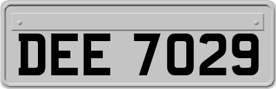DEE7029