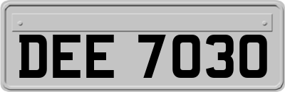 DEE7030
