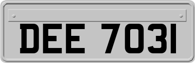 DEE7031