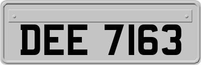 DEE7163